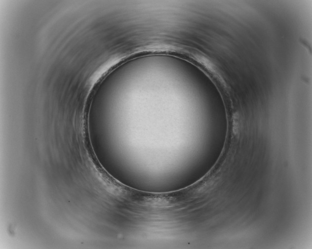 X0000103261229200808291210