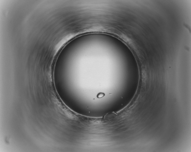 X0000103261230200808291210