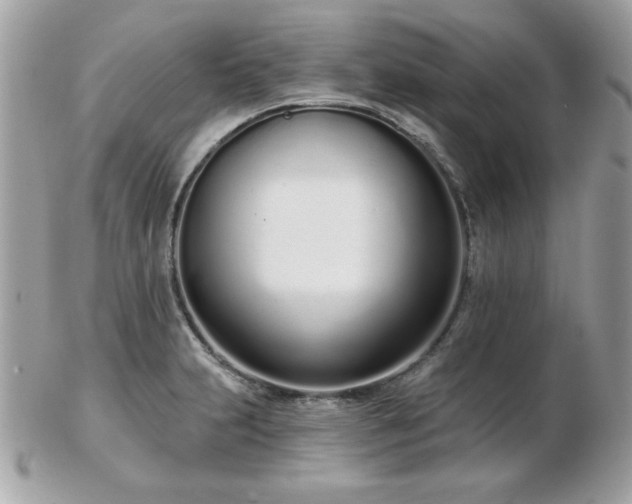 X0000103261231200808291210