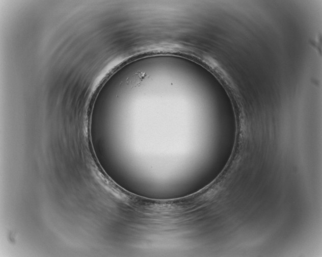 X0000103261232200808291210