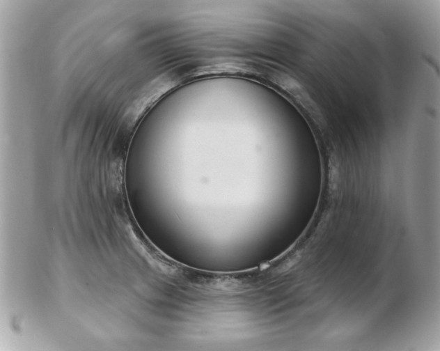 X0000103261233200808291210