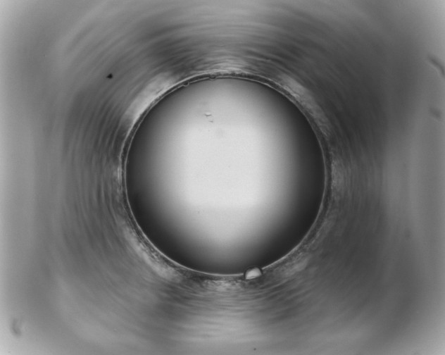 X0000103261234200808291210