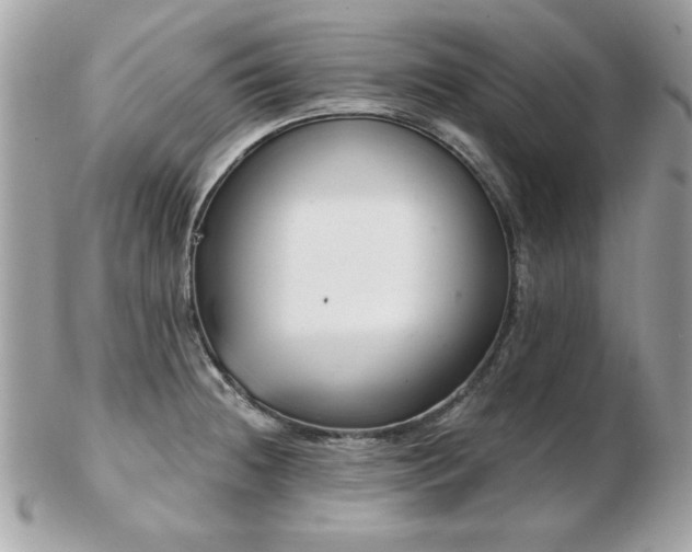 X0000103261236200808291211