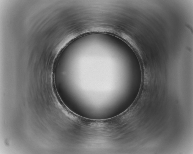 X0000103261237200808291211