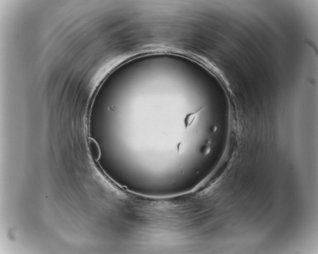 X0000103261239200808291211