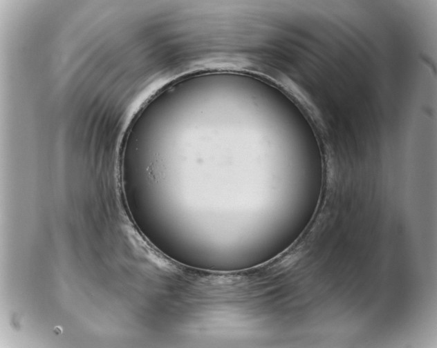 X0000103261240200808291211