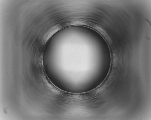 X0000103261241200808291211