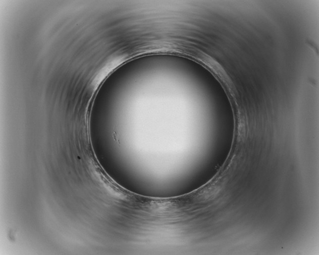 X0000103261242200808291211