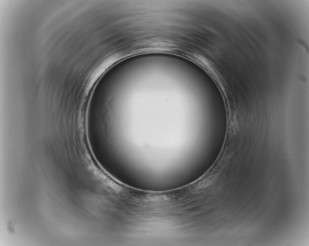 X0000103261243200808291211