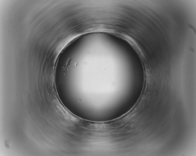 X0000103261244200808291211