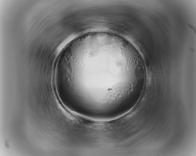 X0000103261245200808291211