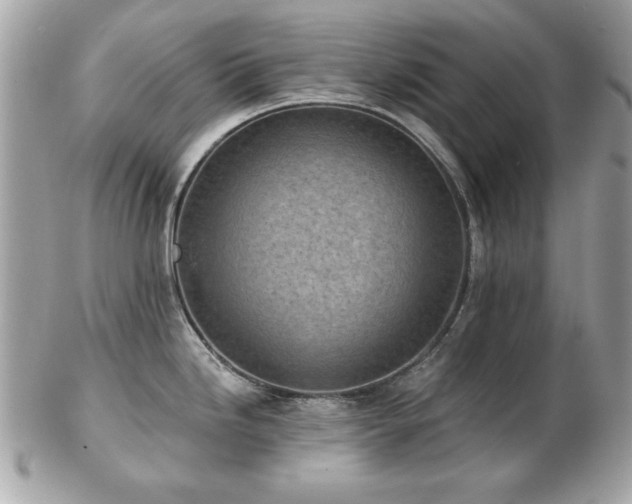 X0000103261246200808291211