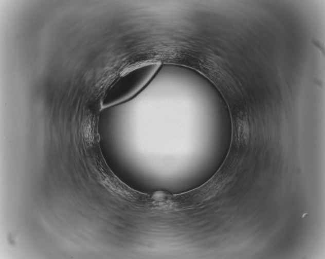 X0000103261250200808291210