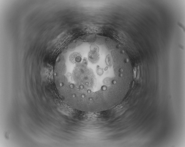 X0000103261251200808291210