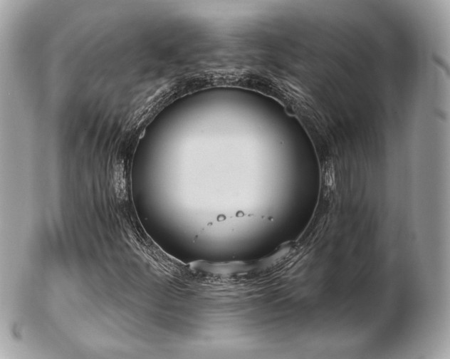 X0000103261252200808291210