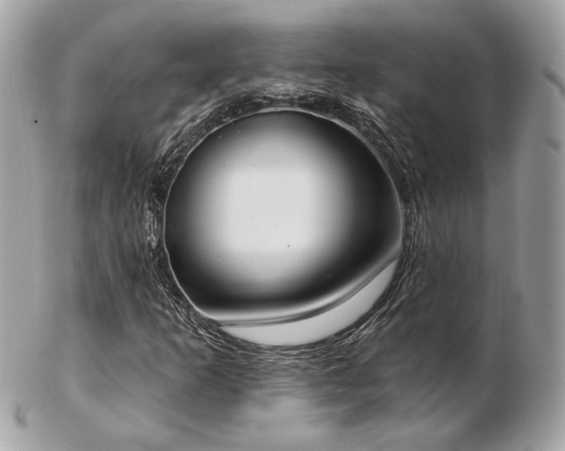 X0000103261253200808291210