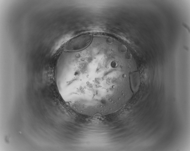 X0000103261255200808291210