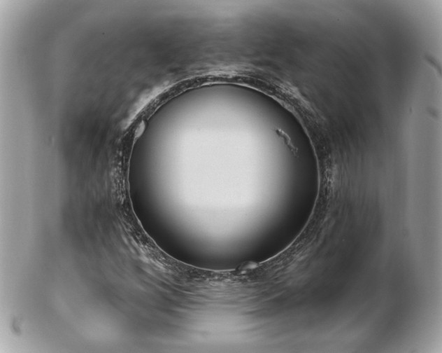 X0000103261256200808291210