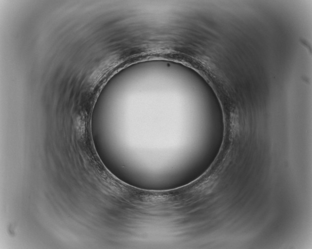 X0000103261257200808291210