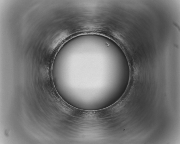 X0000103261259200808291210