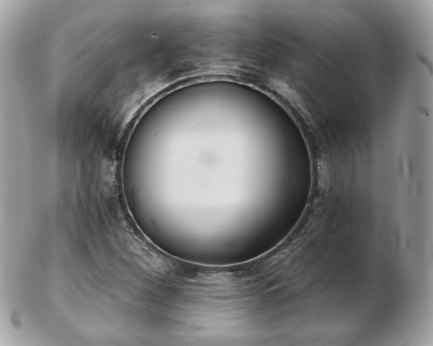 X0000103261260200808291210