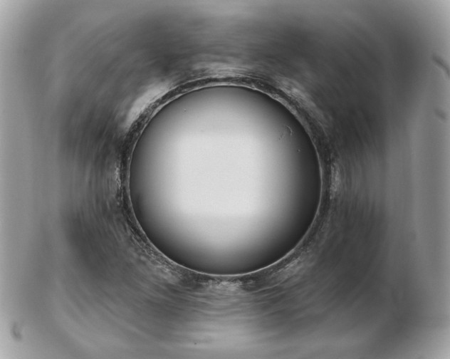 X0000103261261200808291210