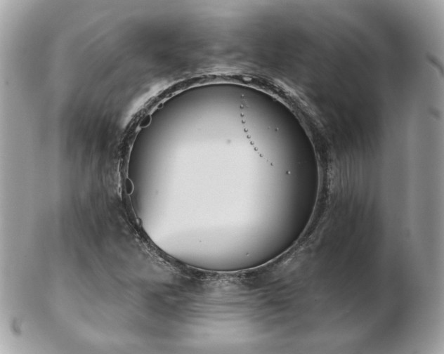 X0000103261262200808291210