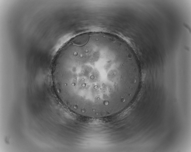 X0000103261263200808291210