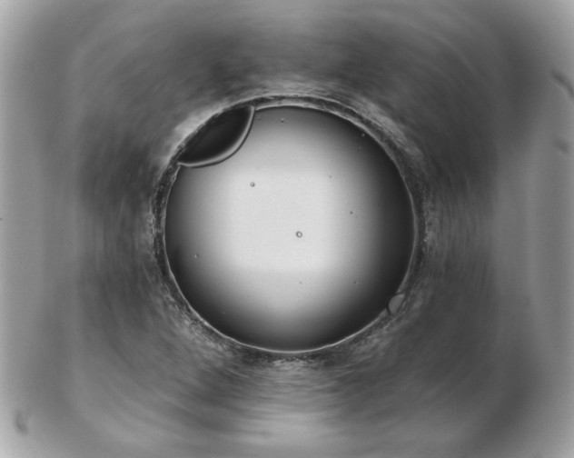 X0000103261264200808291210