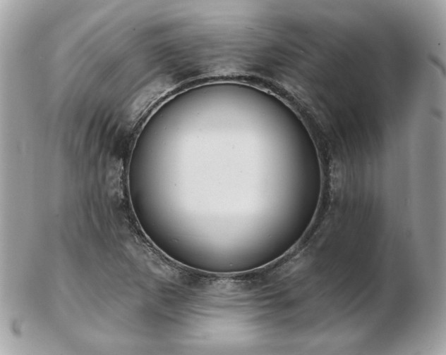 X0000103261265200808291210