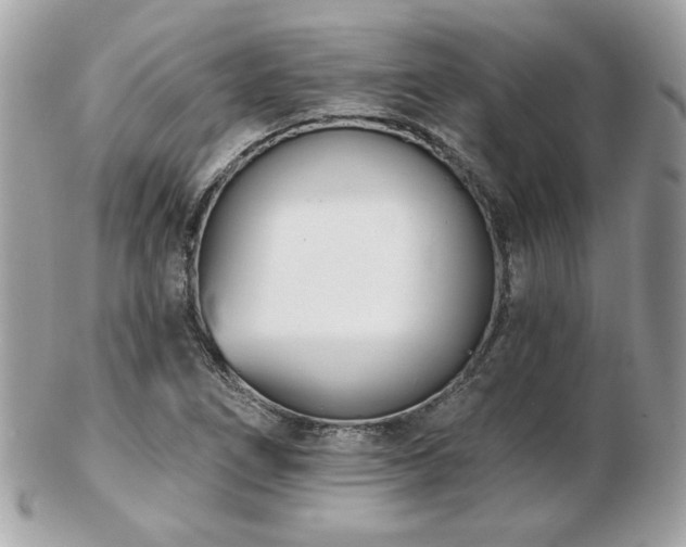 X0000103261266200808291210