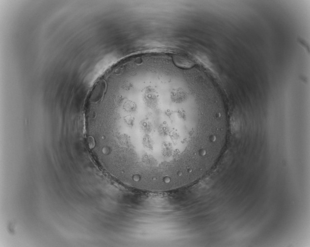 X0000103261267200808291210