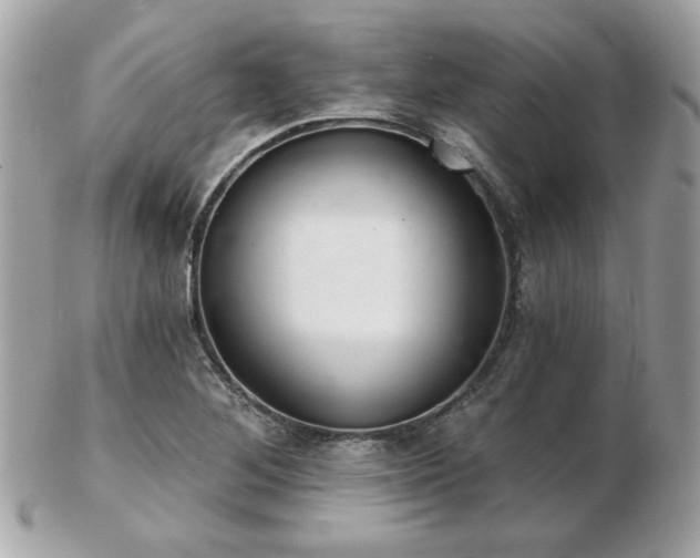 X0000103261268200808291210