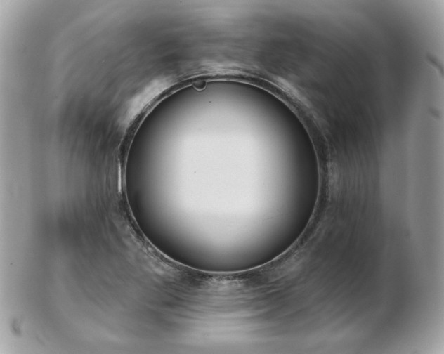 X0000103261269200808291210