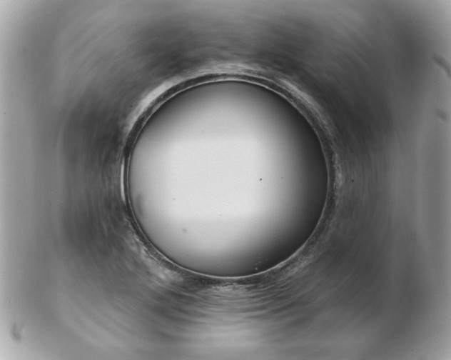 X0000103261272200808291210