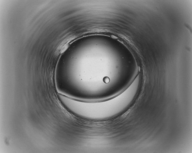 X0000103261273200808291210