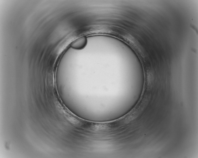 X0000103261274200808291210