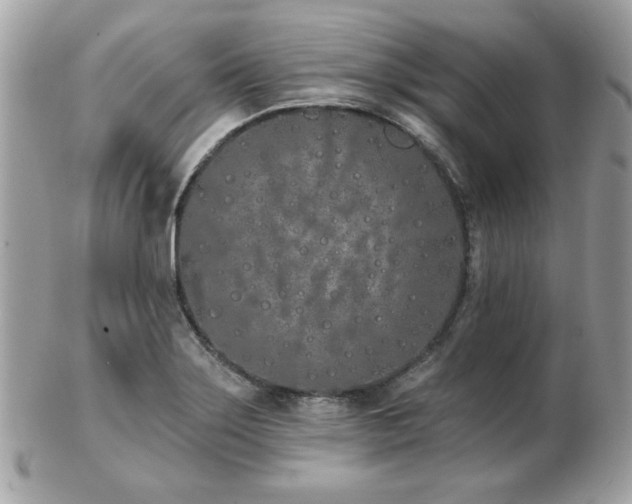 X0000103261275200808291210