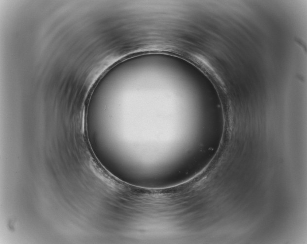 X0000103261276200808291210