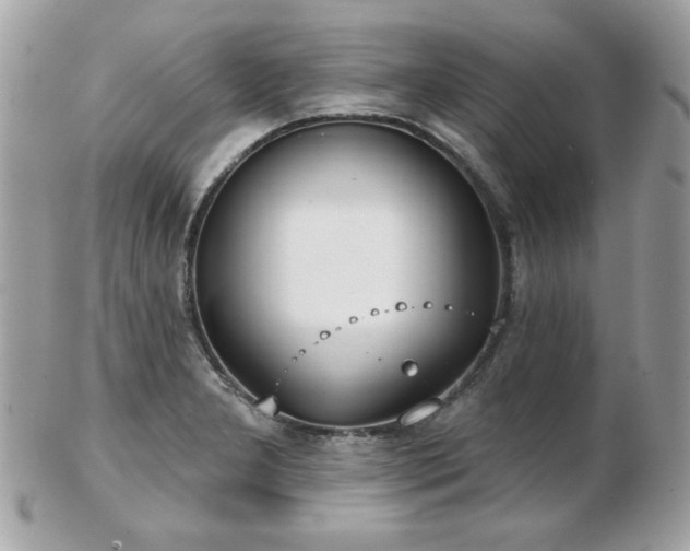 X0000103261277200808291210