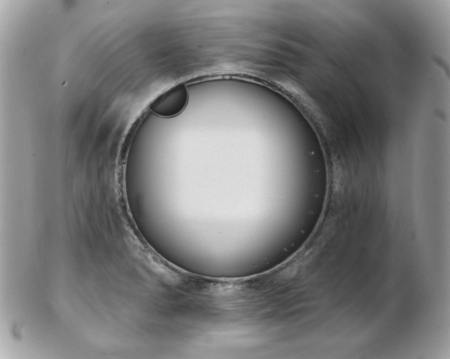 X0000103261278200808291210