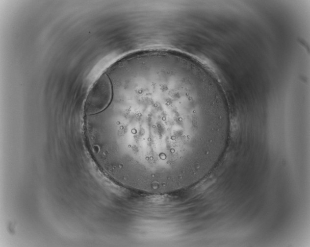 X0000103261279200808291210