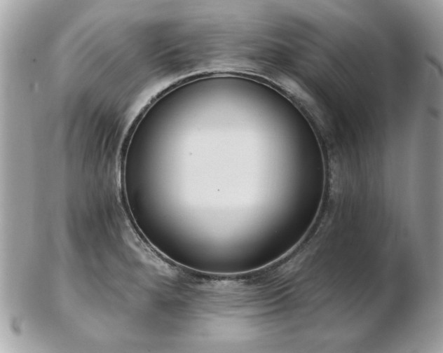 X0000103261280200808291210