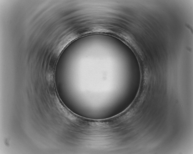 X0000103261281200808291209