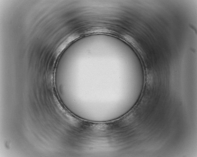 X0000103261282200808291209