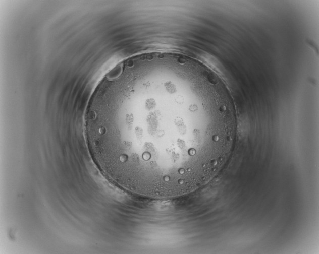 X0000103261283200808291209