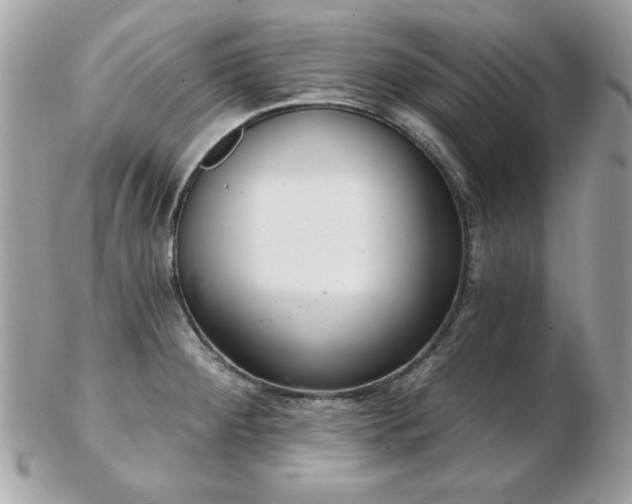 X0000103261284200808291209