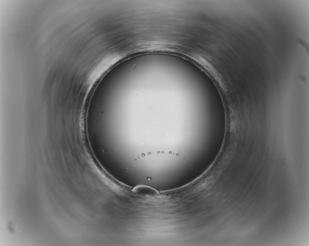 X0000103261285200808291209