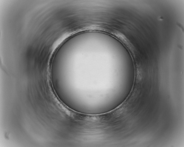 X0000103261286200808291209