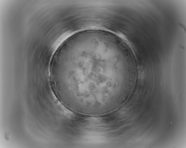 X0000103261287200808291209